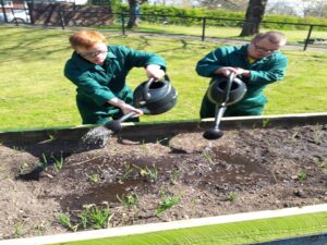 College 19 – garden